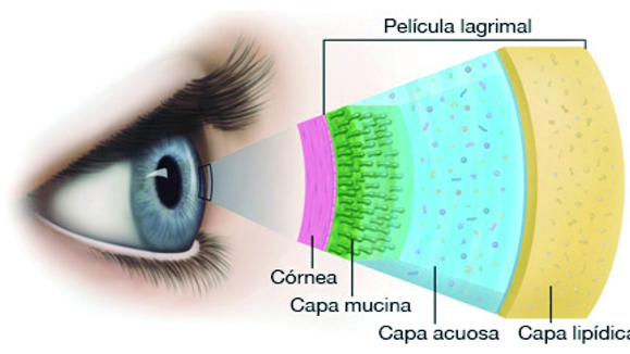 tear analysis (1)